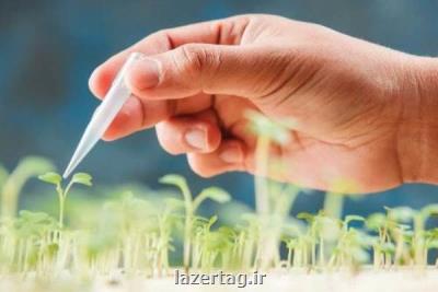 اعطای جایزه دکتر کاظمی آشتیانی به چهره تأثیرگذار بیوتکنولوژی