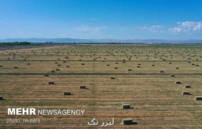 کاربرد تکنولوژی های جدید زیستی در حل مشکلات اقلیمی