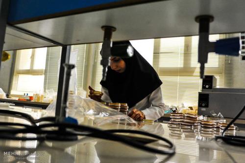 افزایش 3 برابری شرکت های مستقر در پارک علم و فناوری دانشگاه تهران