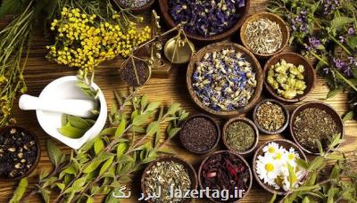 ۵ طرح توسعه کلکسیون گیاهان دارویی اجرائی شد