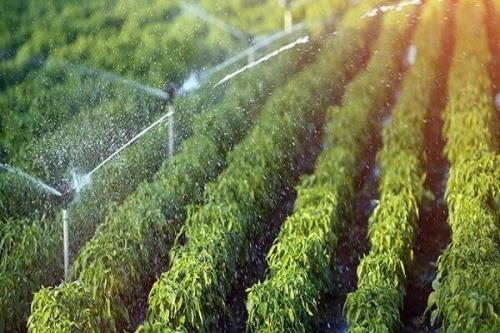 ساخت سامانه خودکار انتقال آب کشاورزی مبتنی بر اینترنت اشیا