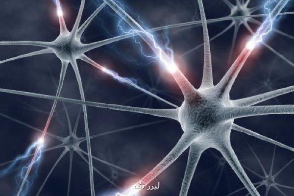 توسعه داروی کاهش وزن مشابه اوزمپیک بدون عوارض جانبی
