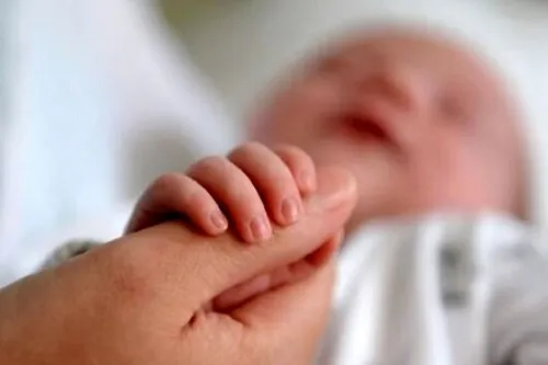 مناطق مرفه تهران، رکورددار پایین ترین میزان فرزندآوری