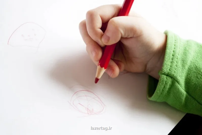 راز تکاملی برتری دست راست بر چپ چرا ۹۰ درصد انسان ها راست دست اند؟