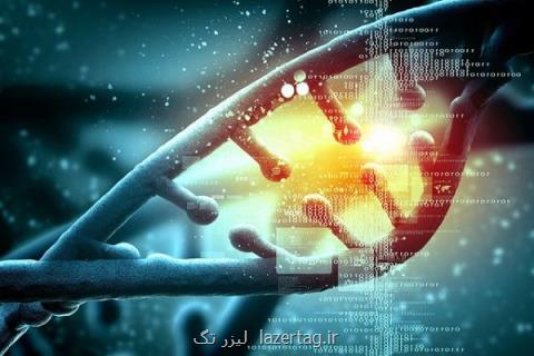 تولید محصولات تراریخته راهی به سمت تامین امنیت غذایی كشور