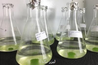 بانك اطلاعات زیست فناوری دریا راه اندازی می شود