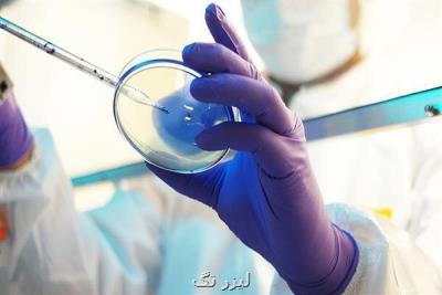 تحریم ها بهترین فرصت برای رونق دادن به تولیدات داخلی است