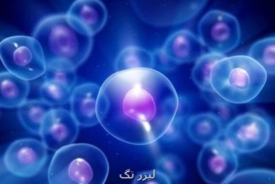 درمان دیابت موش با سلول های بنیادی انسان