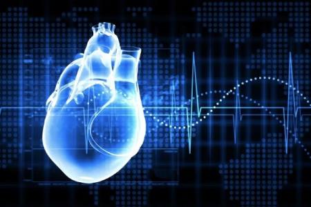 طراحی و ساخت یك داربست رسانا برای مدل سازی قلب