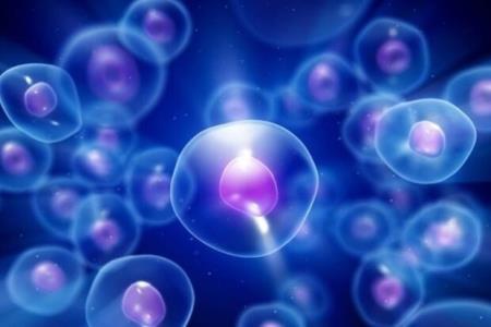 بررسی تاثیرات فناوری نانو روی نوعی سلول بنیادی